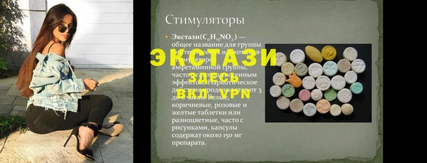 индика Горнозаводск