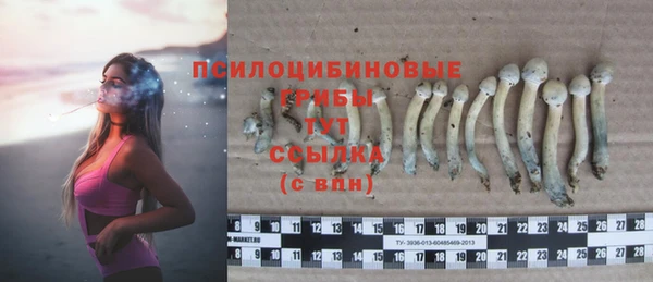mdma Вязьма