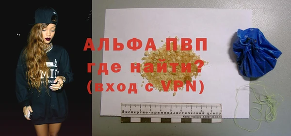 стаф Вяземский