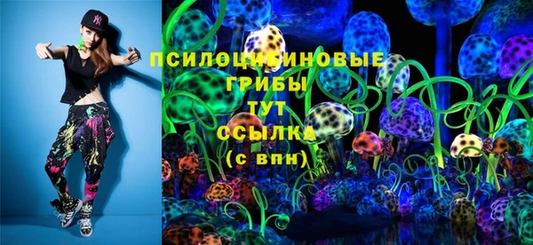 стаф Вяземский