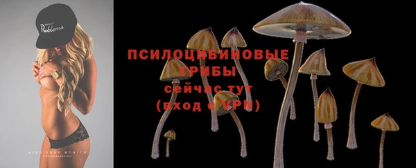 индика Горнозаводск