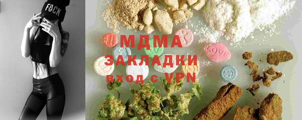 индика Горнозаводск