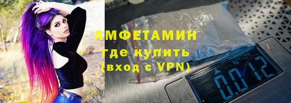 индика Горнозаводск