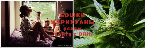 стаф Вяземский