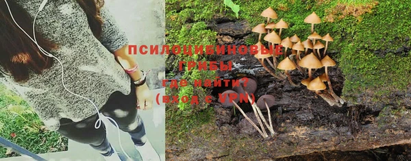 герыч Горняк