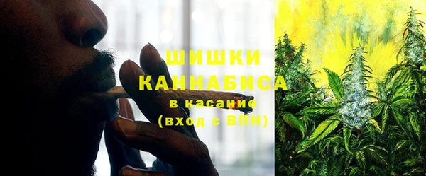 стаф Вяземский