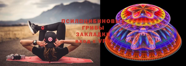 прущая мука Вязники